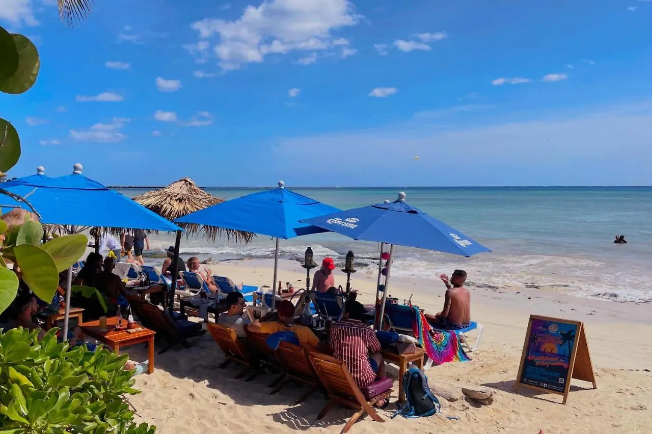 Stylish Studio On The 5Th Ave Of Playa Del Carmen
