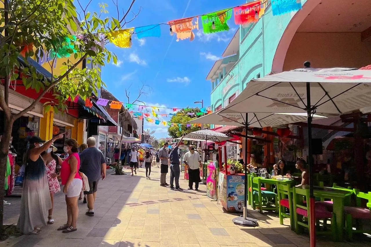 Stylish Studio On The 5Th Ave Of Playa Del Carmen Apartment