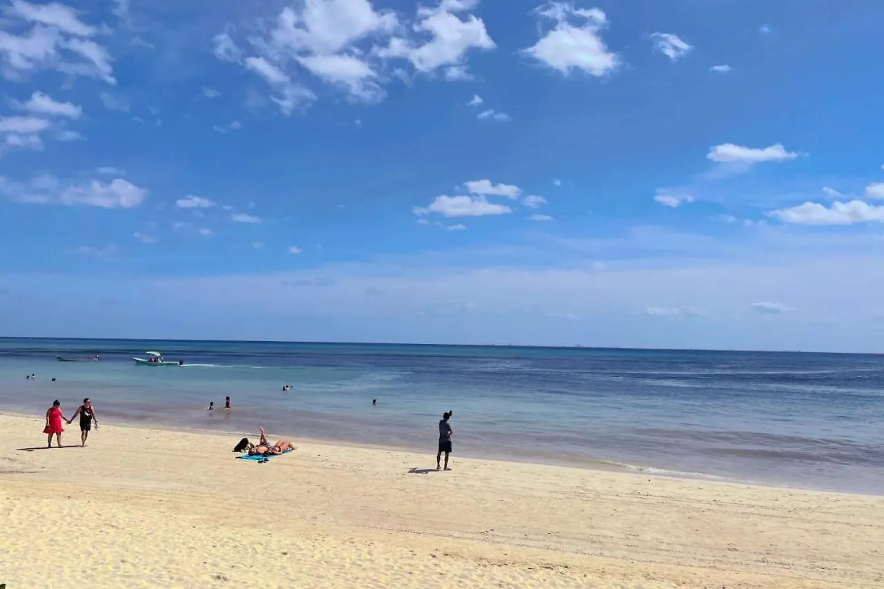 Stylish Studio On The 5Th Ave Of Playa Del Carmen Appartement