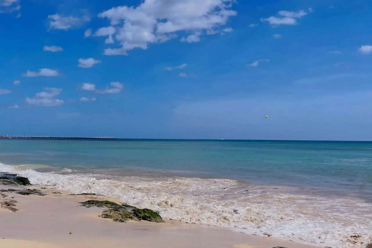Appartement Stylish Studio On The 5Th Ave Of Playa Del Carmen