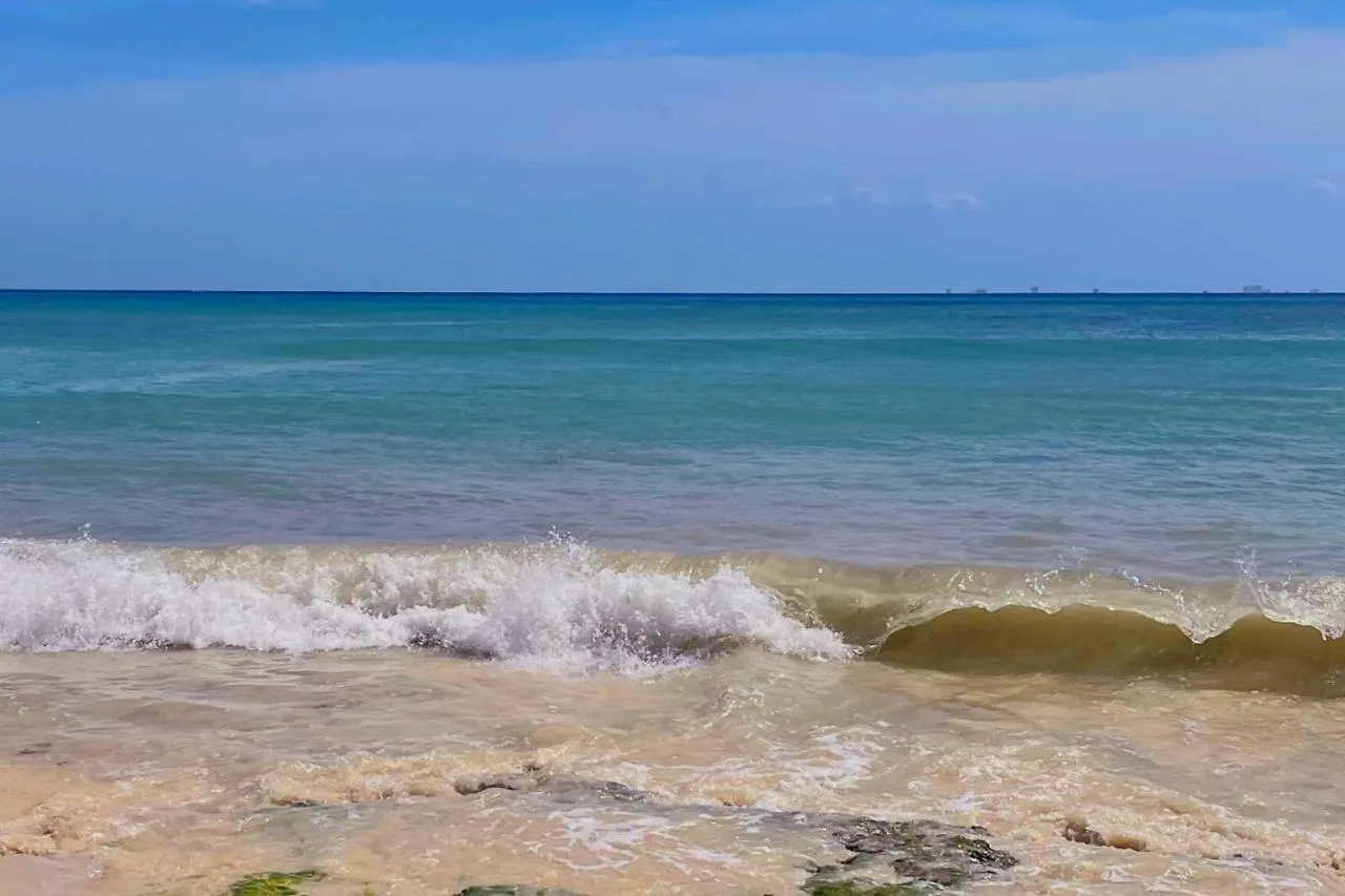 Apartment Stylish Studio On The 5Th Ave Of Playa Del Carmen