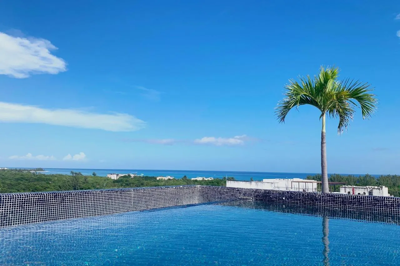 Stylish Studio On The 5Th Ave Of Playa Del Carmen Mexico