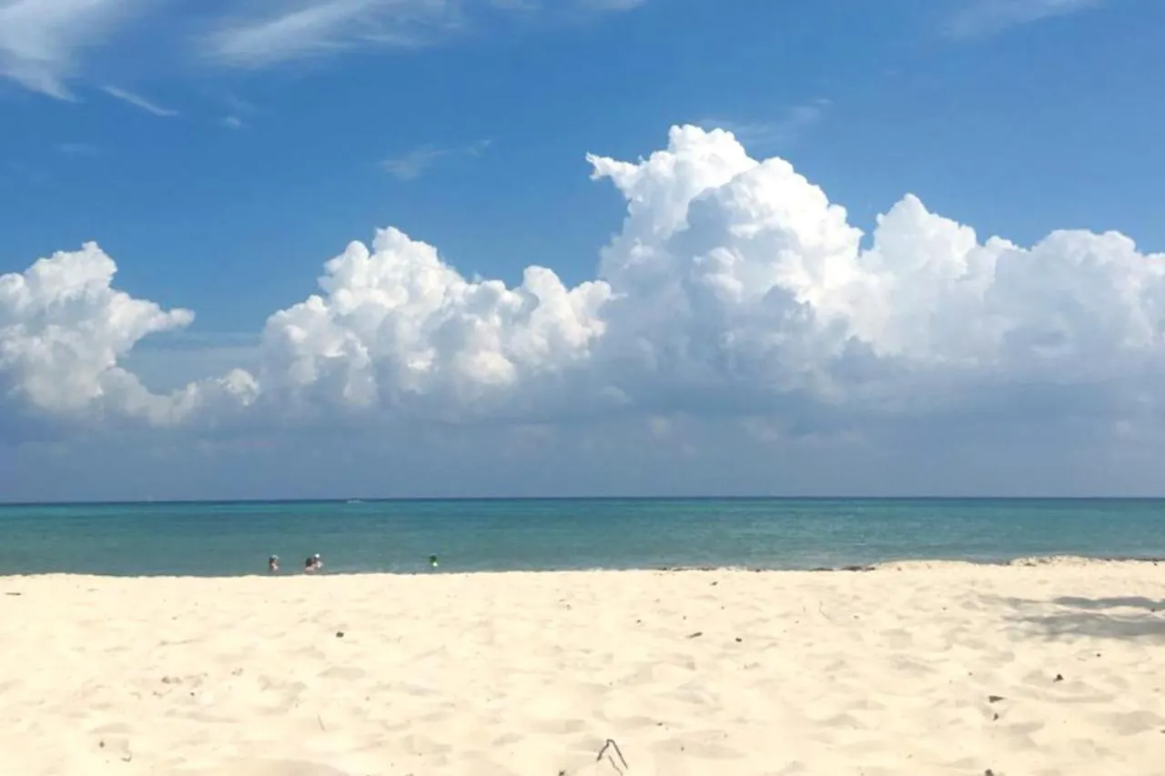 Stylish Studio On The 5Th Ave Of Playa Del Carmen